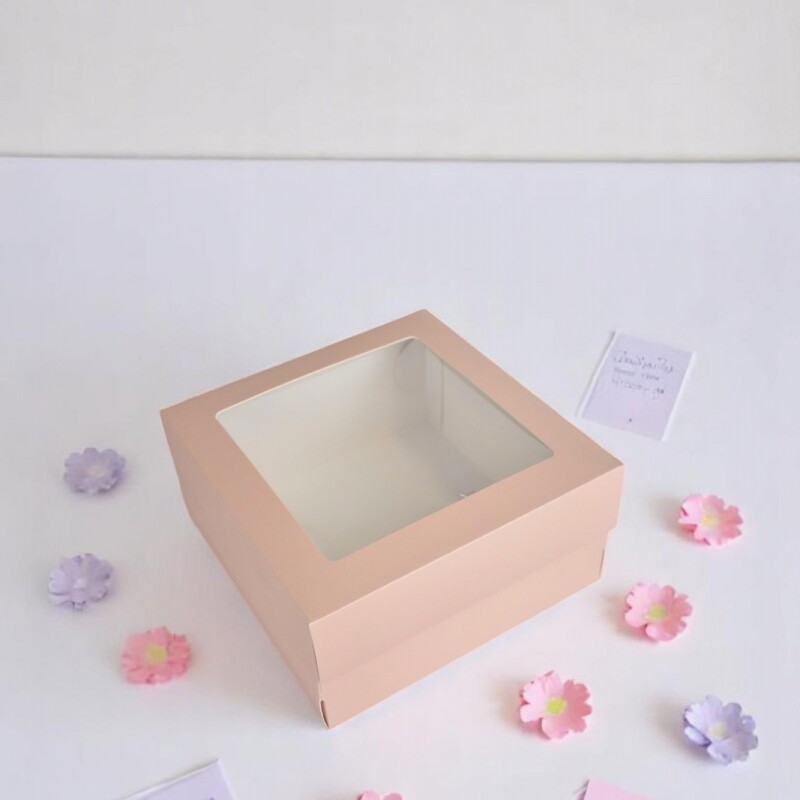 Caja flexi 51 20x20x9,5 c/visor. NUDE