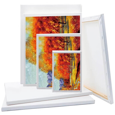 Set De Lienzos Con Bastidores P/pintar 12 Pcs Cuadro Set De Lienzos Con Bastidores P/pintar 12 Pcs Cuadro