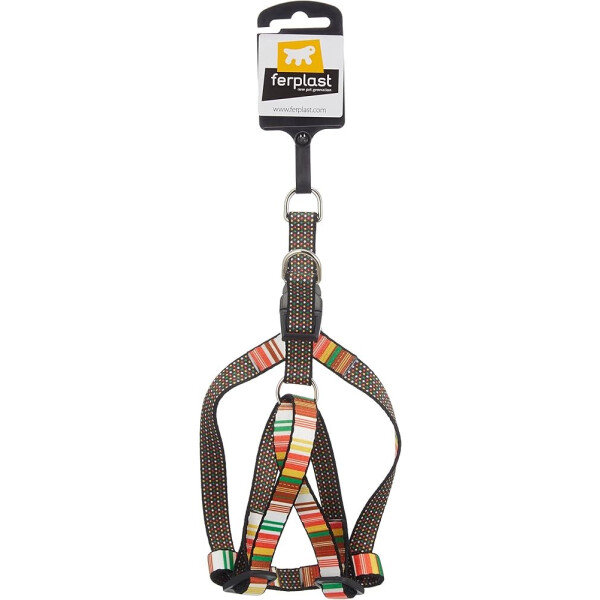 FANTASIA P S PETTORINA FANTASIA P S PETTORINA