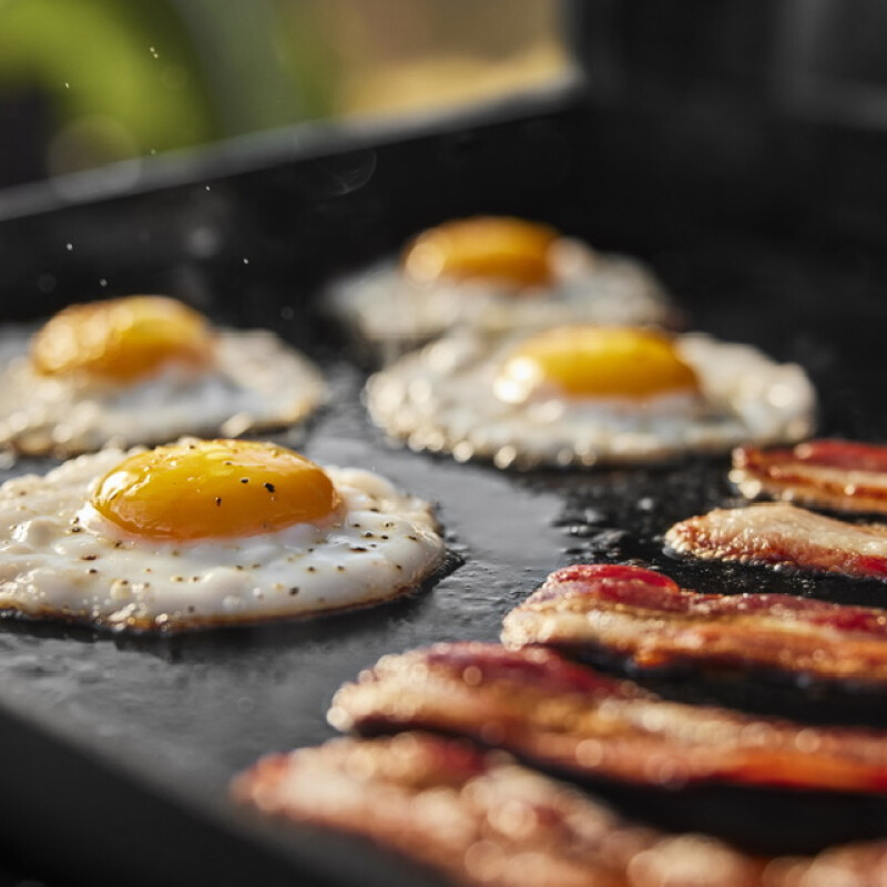 Plancha Portátil Weber Plancha Portátil Weber