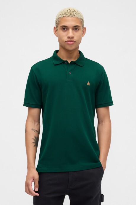 Polo Oso Brannan Hombre Evergreen Glamour
