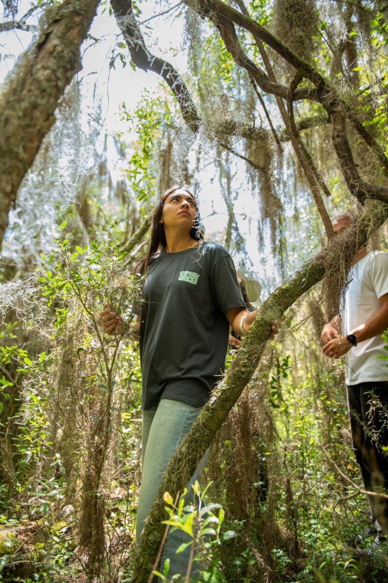 Remeron Save Origen / Gris U