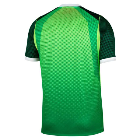 Remera Nigeria 2026 Stadium Camiseta Oficial De Hombre Verde