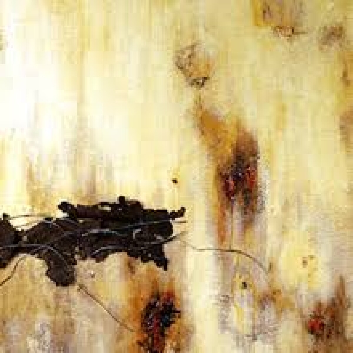 Nine Inch Nails-downward Spiral 