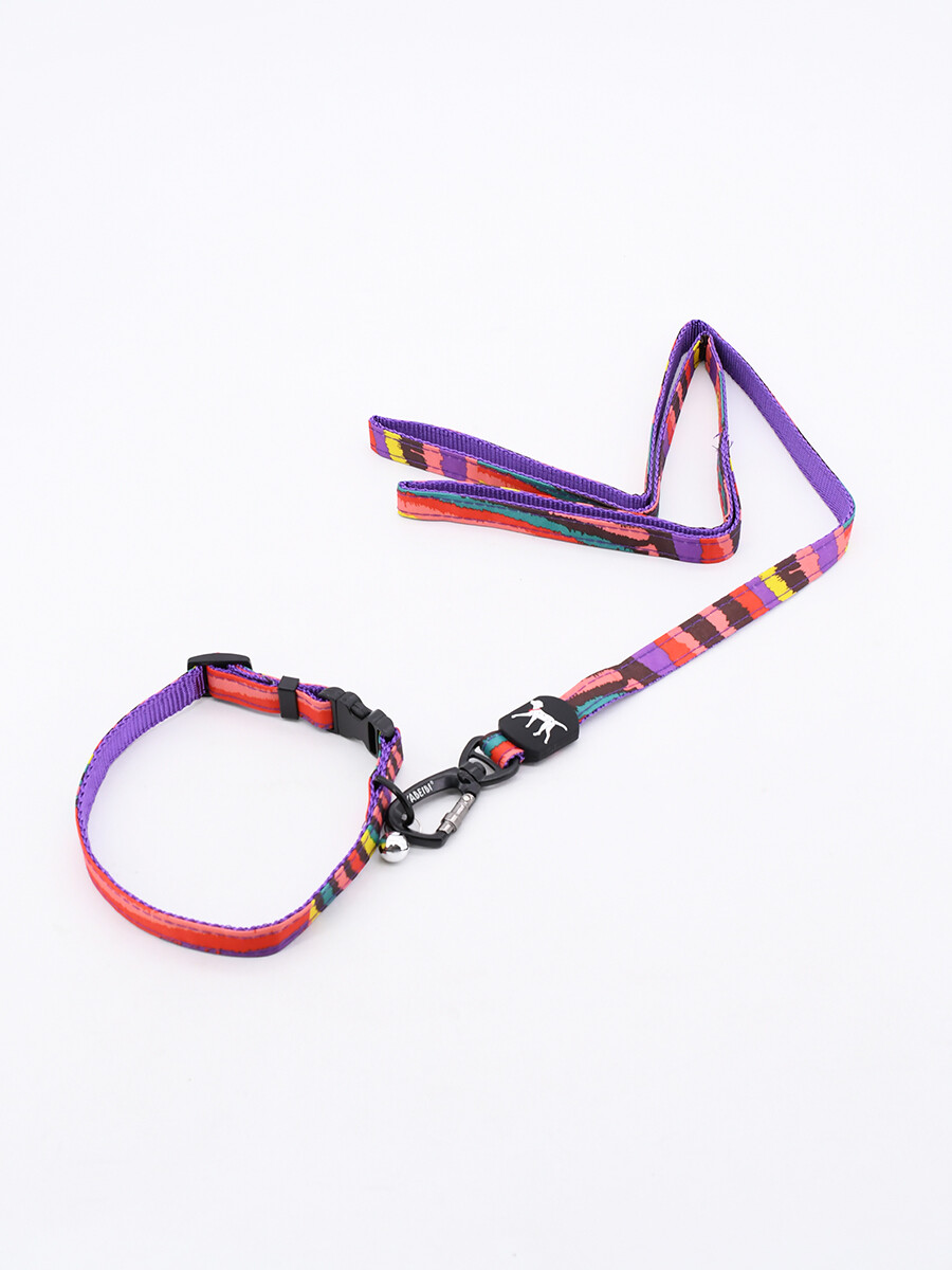 SET COLLAR COKI CON CORREA - MULTICOLOR 