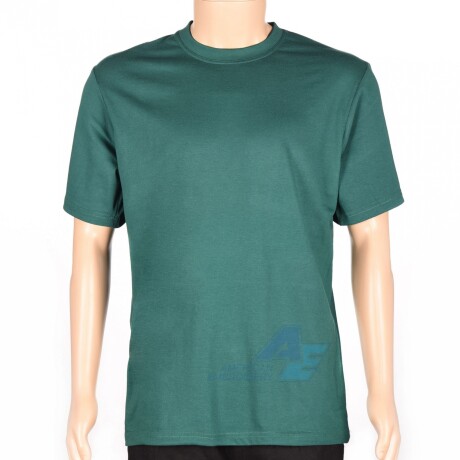 Camiseta Clásica / Básica verde inglés