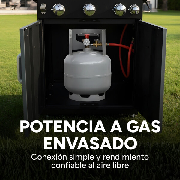 Parrillero Barbacoa A Gas Portátil Patio Jardín Hornalla X4 Color Gris