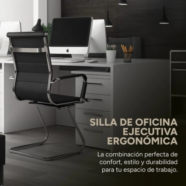 Silla Oficina Escritorio Patas Fijas Respaldo Anatómico Color Negro Plateado
