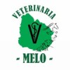 VETERINARIA MELO