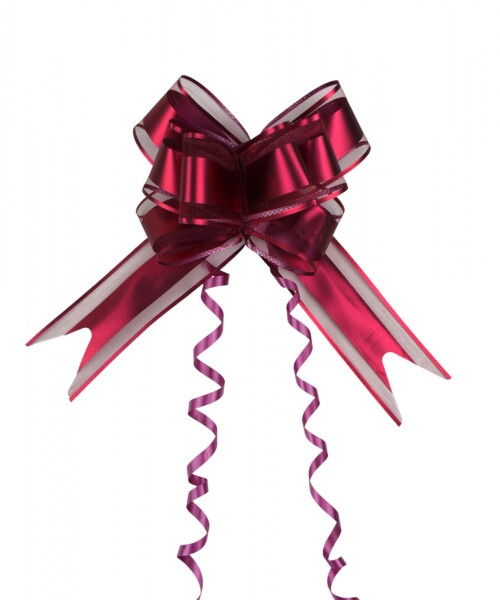 Moño magico grande 5,5 cm x 70 cm BORDEAUX