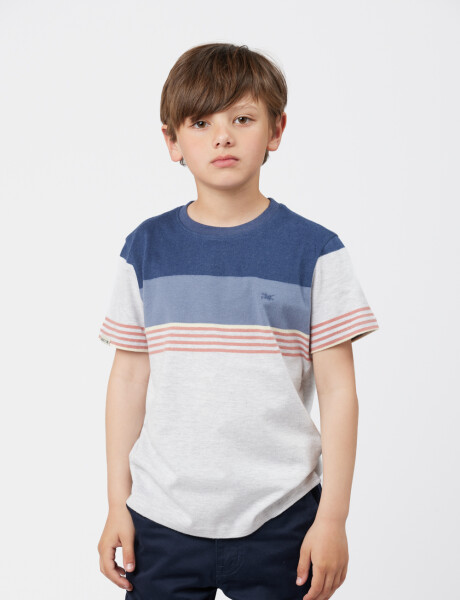 REMERA RAYADA Gris