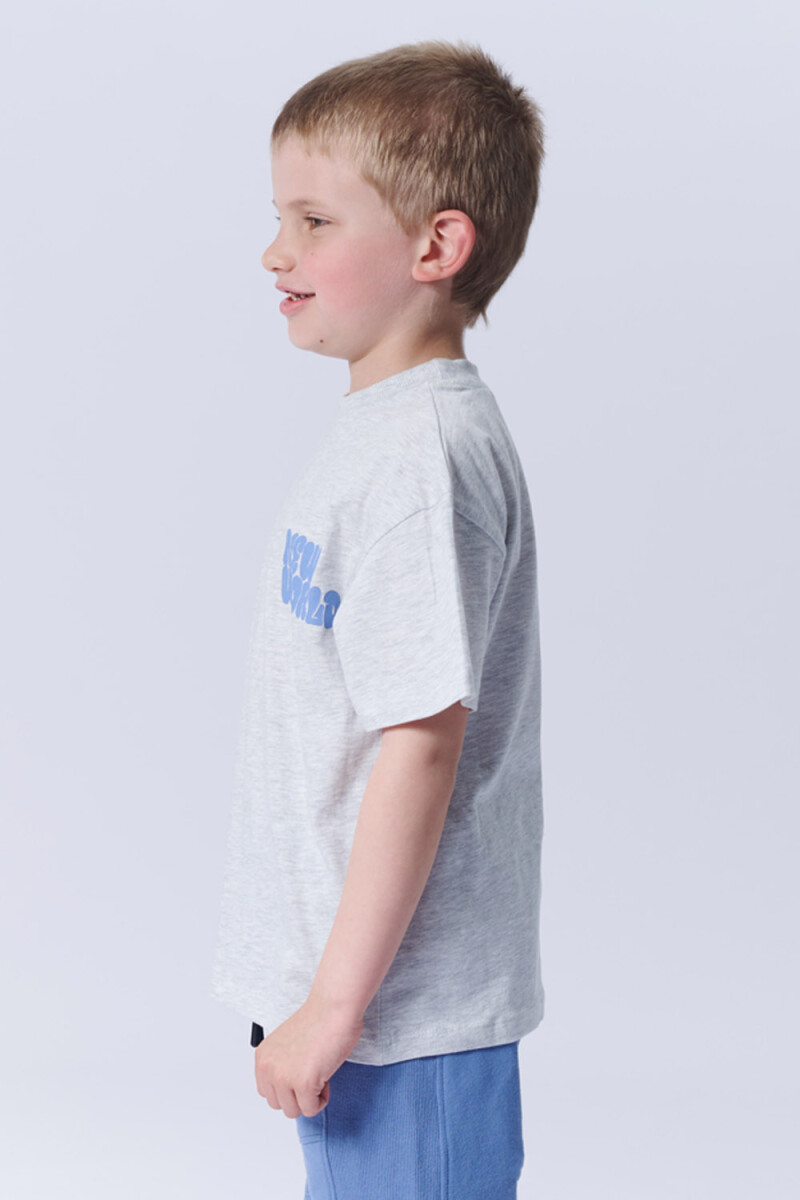 Remera Algodón Gris Melange