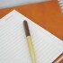 Desk Pen Chocolate