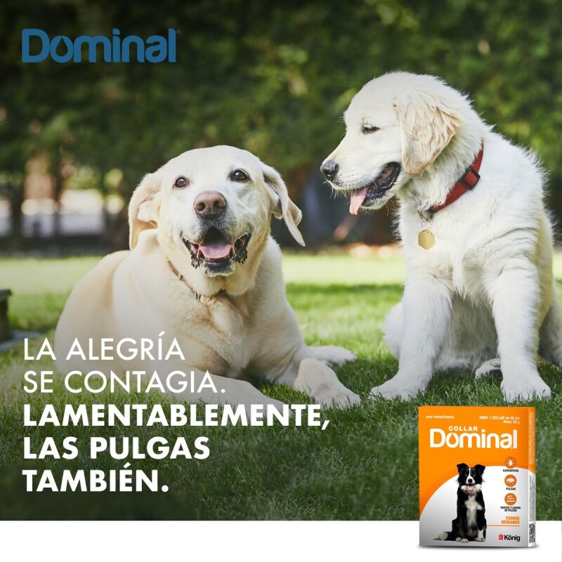 DOMINAL COLLAR ANTIPULGAS Y GARRAPATAS PERROS MEDIANOS 48 CM DE LARGO