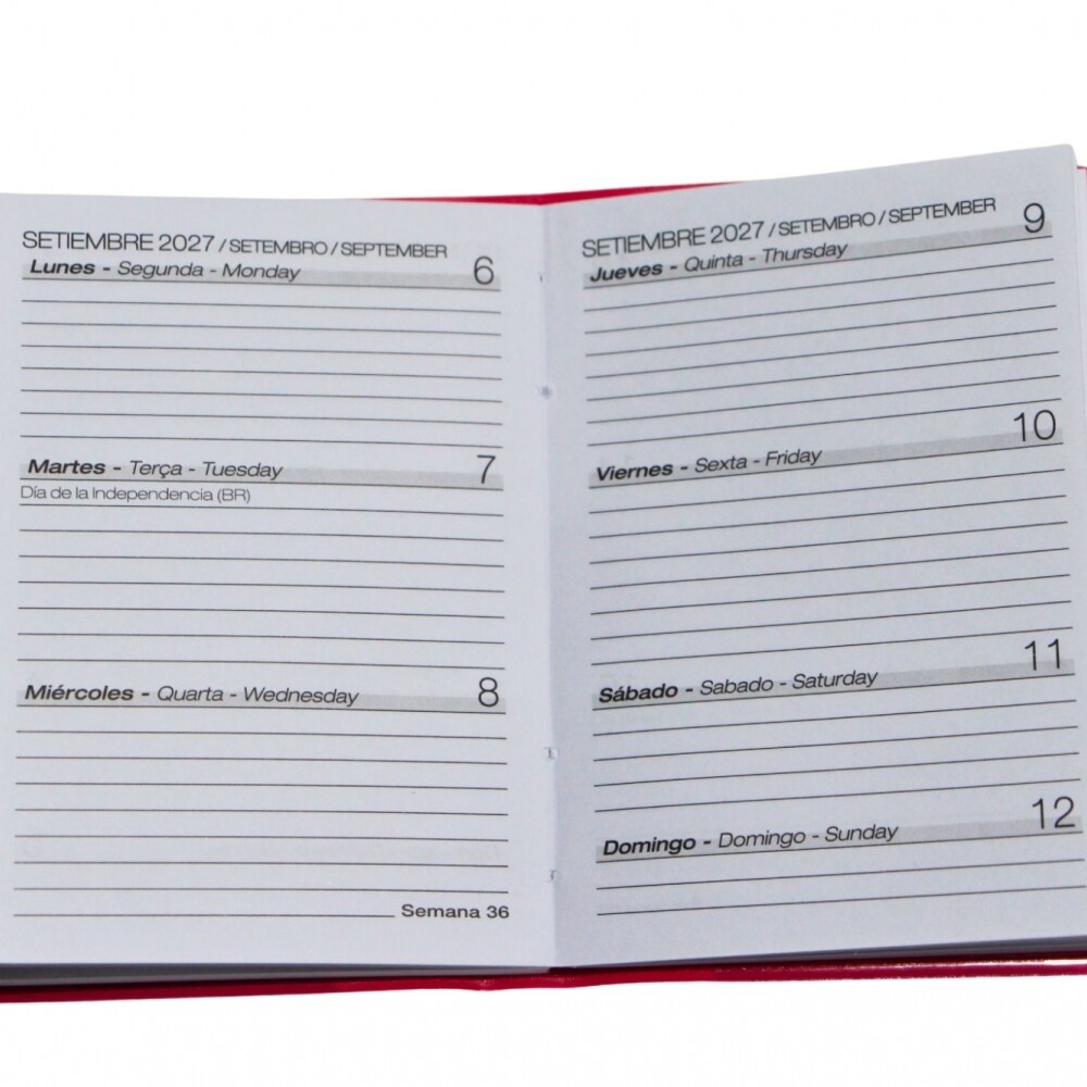 AGENDA ABEZETA PICCOLA 205 AGENDA DE BOLSILLO COLOR FUCSIA