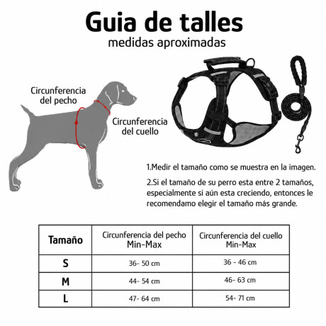 Arnés Y Correa Para Perros Con Agarre Superior Negro