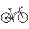 Bicicleta Baccio Alpina Lady Montaña rodado 26 con 6 cambios GRIS