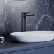 GRIFERIA LAVATORIO ALTO MONOCOMANDO BRILLO NEGRO LINEA SAUCO NEGRO