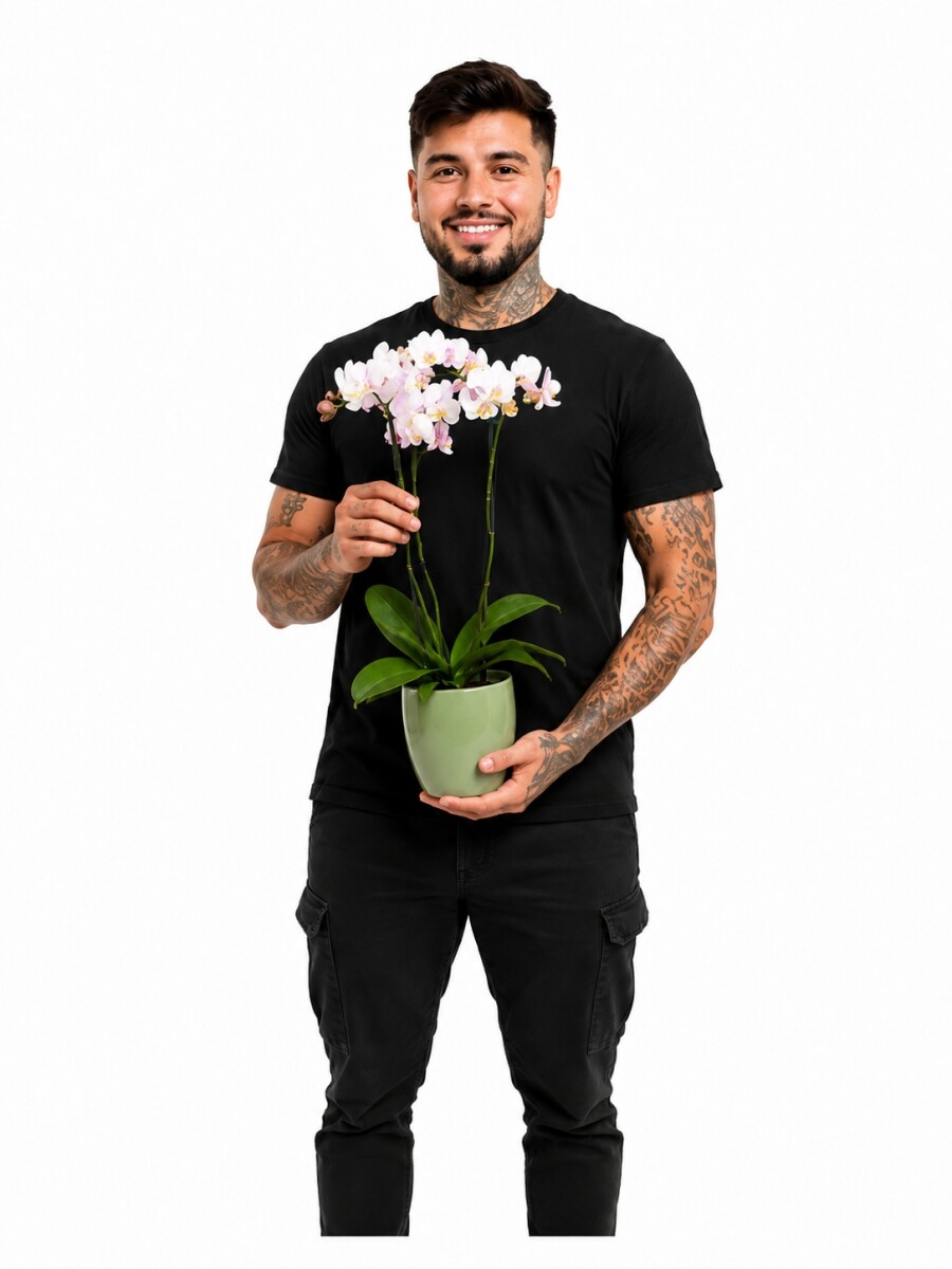 ORQUÍDEA MINI CON MACETA VERDE