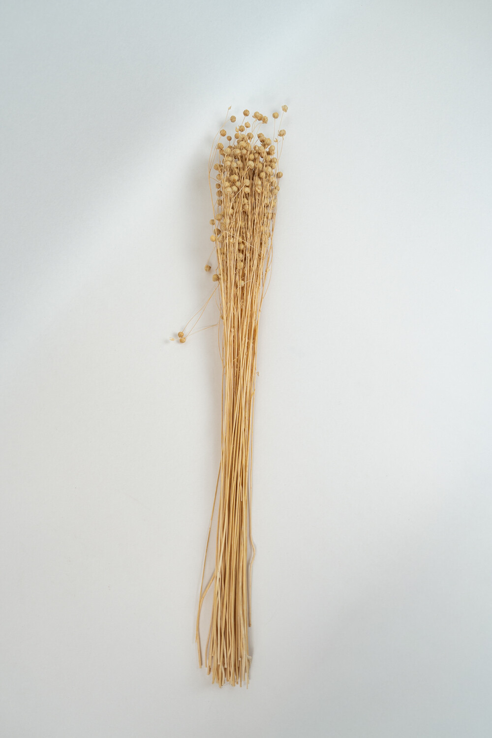 Deco Floral Amapola Color Unico