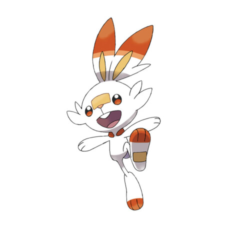 Scorbunny · Pokemon - 922 Scorbunny · Pokemon - 922