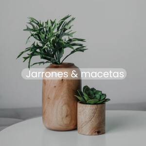 Jarrones y Mazetas