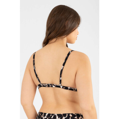 Triangulo rory est. Montes