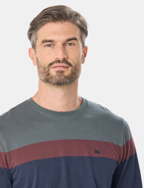 REMERA RAYADA Verde