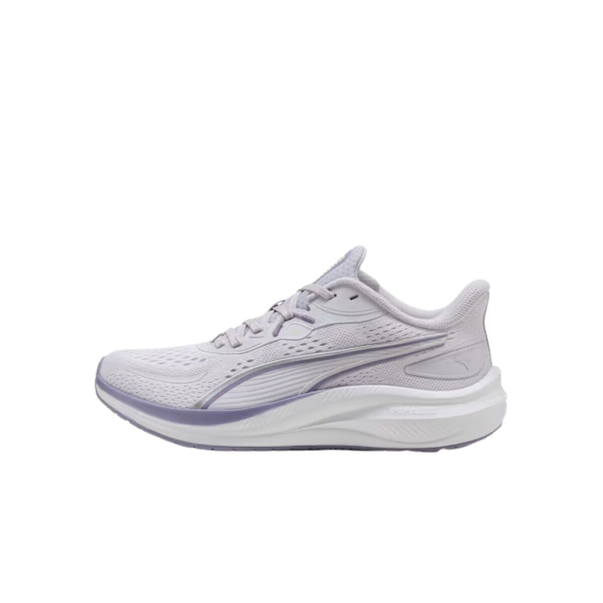 CHAMPION 36-41 - LILA 