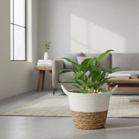 Cesto Canasto Fibra Natural y Algodón c/ Asa Paramount Ø30Cm Blanco