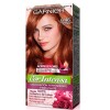 Garnier Nutrisse Cor intensa Tono 6.46