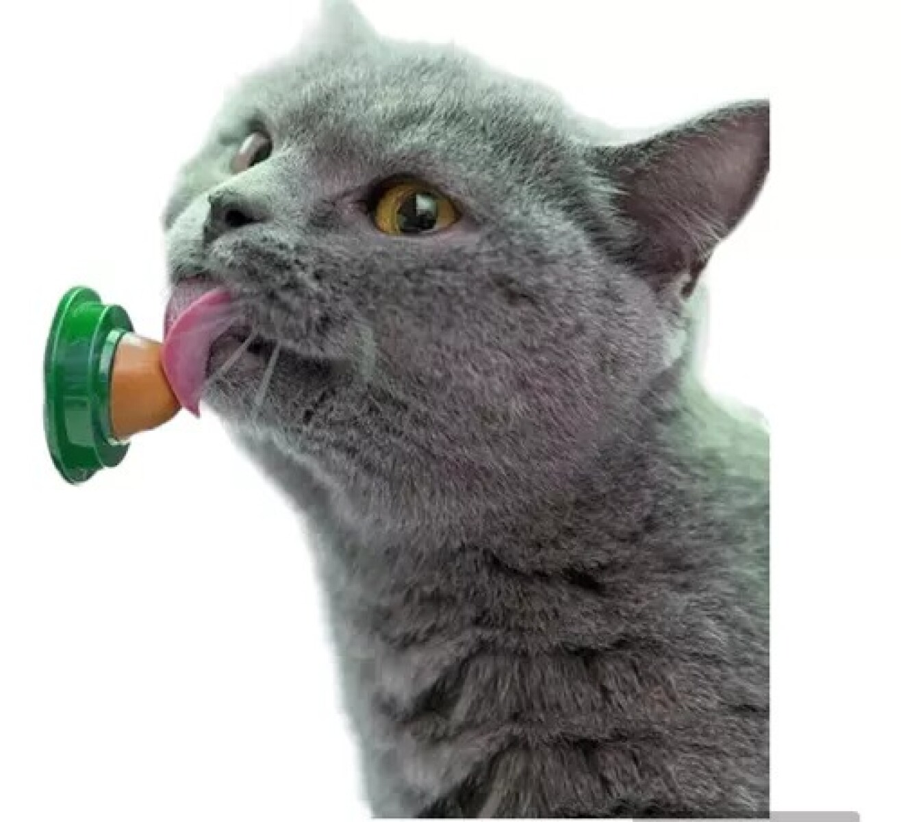 GOLOSINA PARA GATO CATNIP HIERBA GATERA 