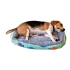 Cucha Cama Colchón Perro Mascota Gato 61 X 40 Rectangular Variante Peces
