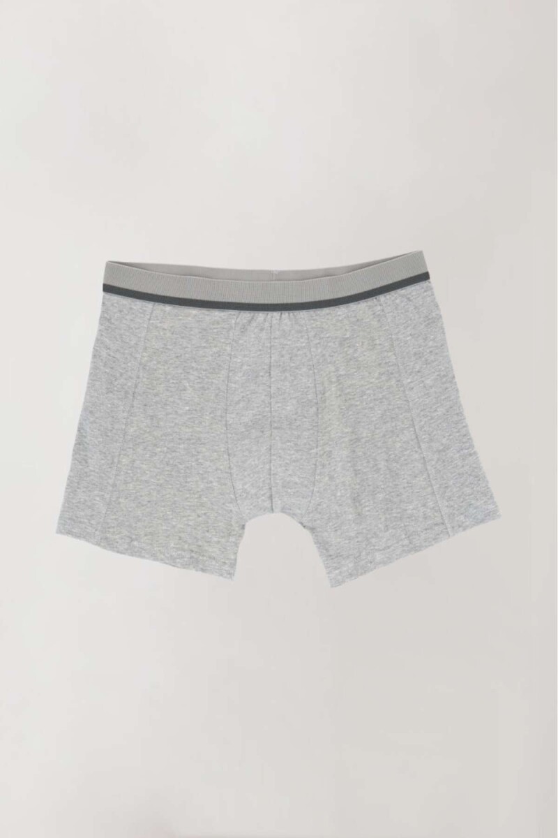 93-106 boxer largo alg. lyc. - Gris 