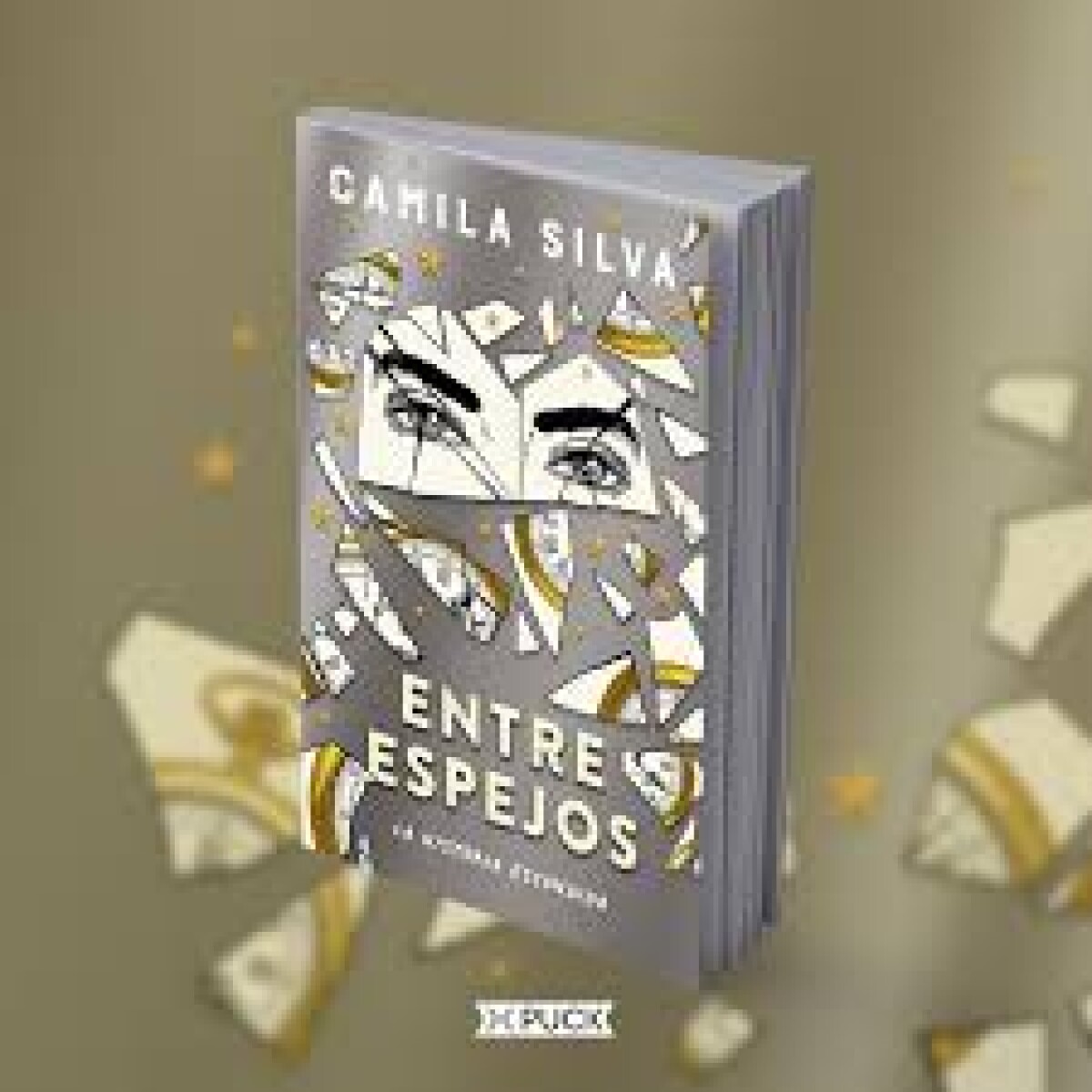 ENTRE ESPEJOS LA HISTORA ESCONDIDA 