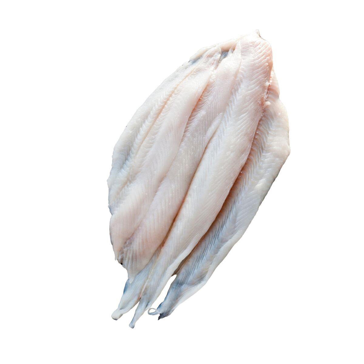 Filet De Lenguado Vac Pack - 600*grs 