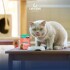 SALSA ORIGENS PARA GATOS CASTRADOS 85 GR. TRACTO URINARIO SALMON
