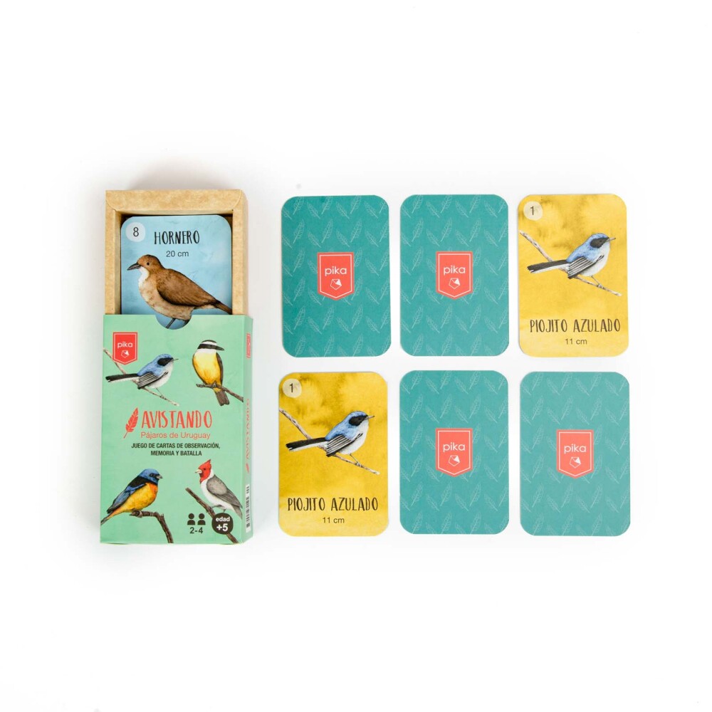 CARTAS CARTON AVISTANDO PÁJAROS DE URUGUAY