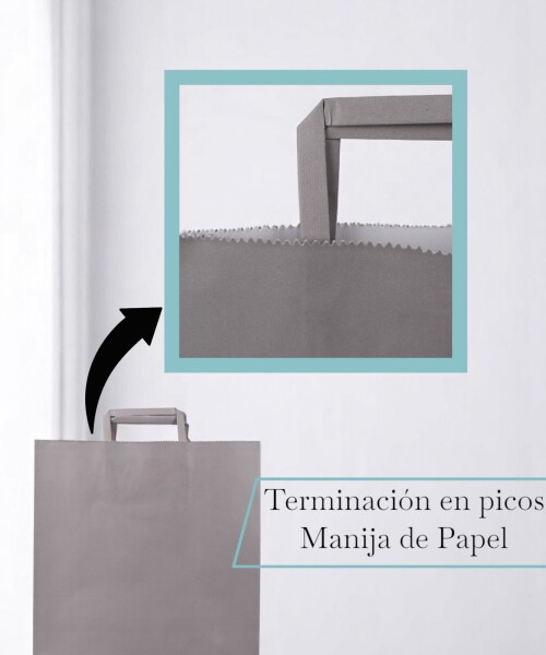 Bolsa lisa acuario 30x12x41 cm GRIS SOMBRA
