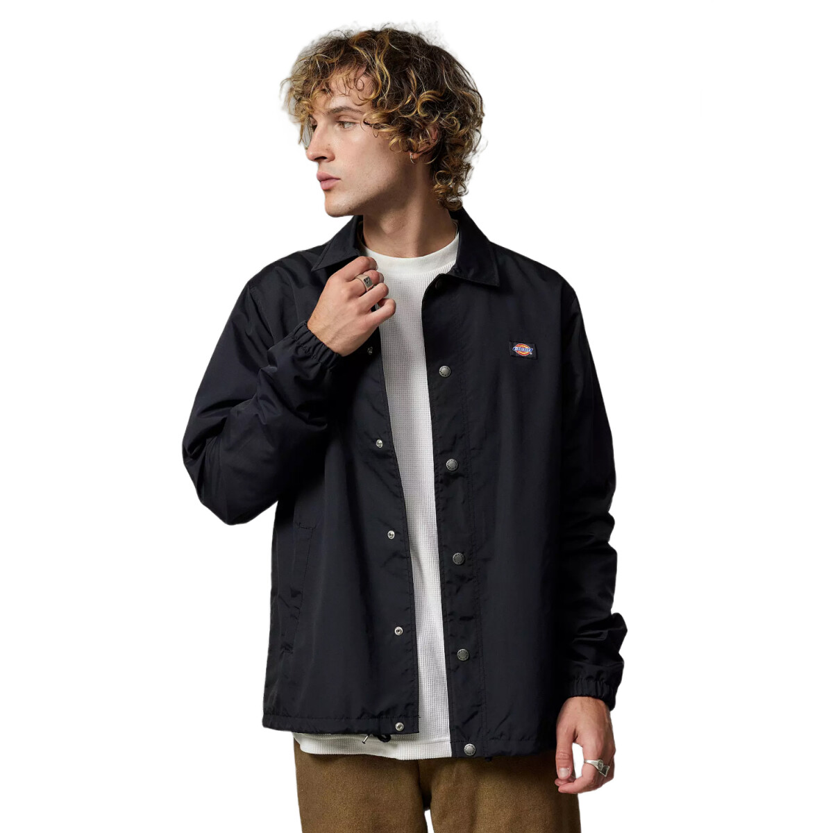 Campera Dickies Oakport Coaches - Negro 