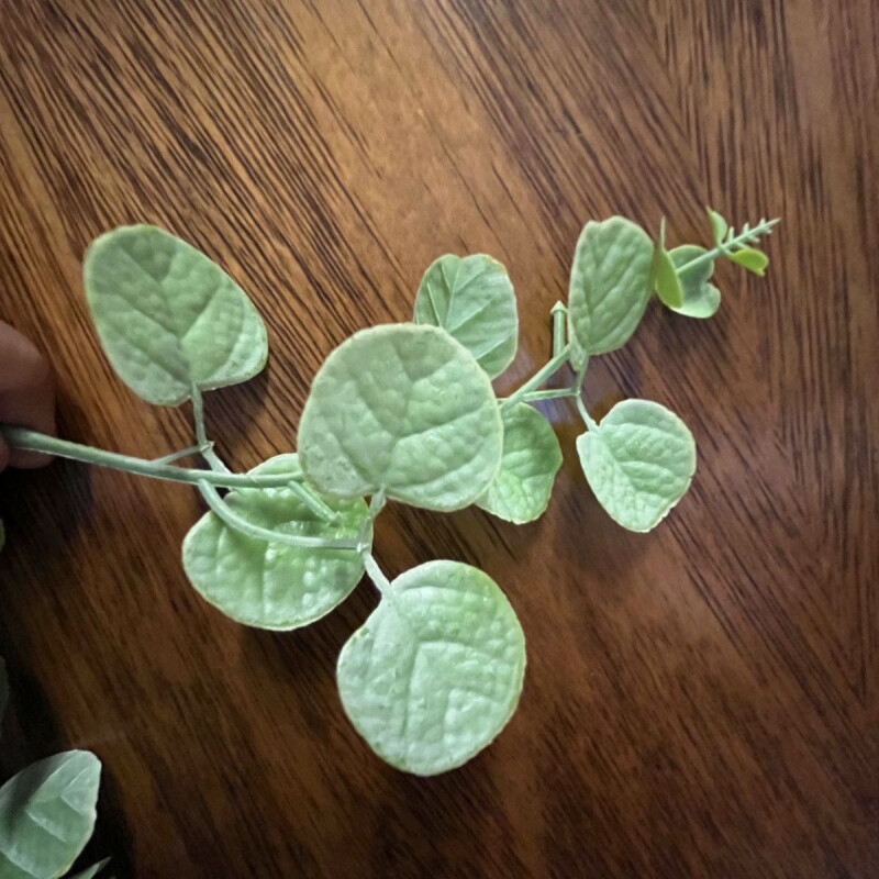 Guia de Hojas Guia de Hojas