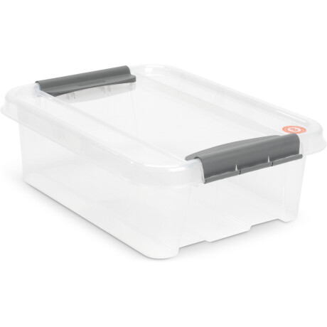 Caja PROBOX 21L con tapa transparente Transparente