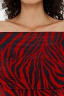 CAMISETA Cebra