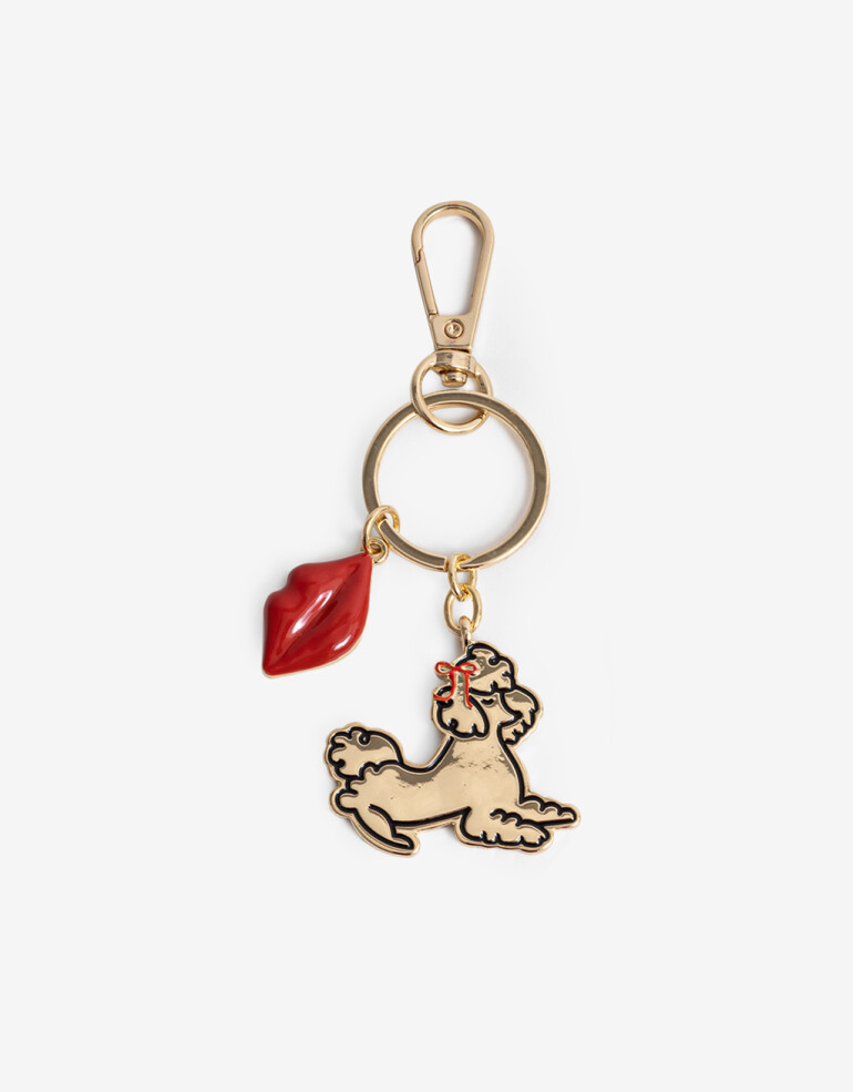 Llavero Metal Llavero Y Bag Charm De Perro - Combinacion Multicolor