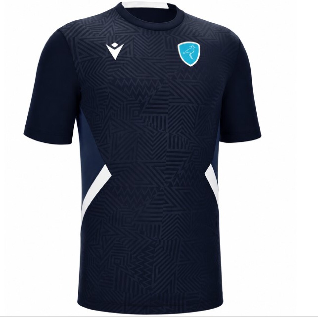 CAMISETA ENTRENAMIENTO TEROS 
