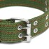 Collar Hebilla Nylon Perros Raza Grande 65 cm Ajustable Variante Color Verde