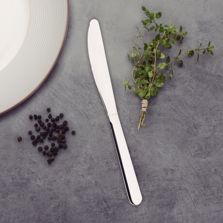 Cuchillo de postre. Malibú. De acero inoxidable Tramontina Cuchillo de postre. Malibú. De acero inoxidable Tramontina