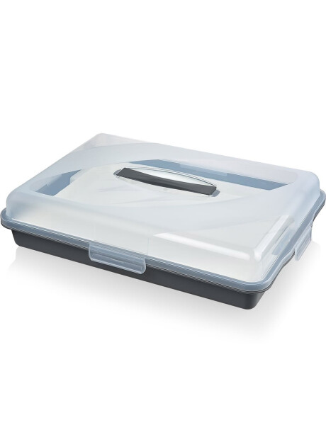 RECIPIENTE PLASTICO P/PASTELERIA C/BANDEJA SURTIDO CELETE-GRIS-ROSA 30x44x9cms RECIPIENTE PLASTICO P/PASTELERIA C/BANDEJA SURTIDO CELETE-GRIS-ROSA 30x44x9cms