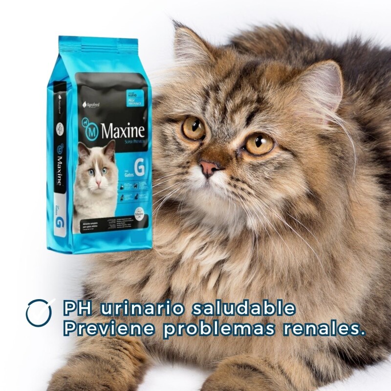 MAXINE GATOS ADULTOS 3 KG