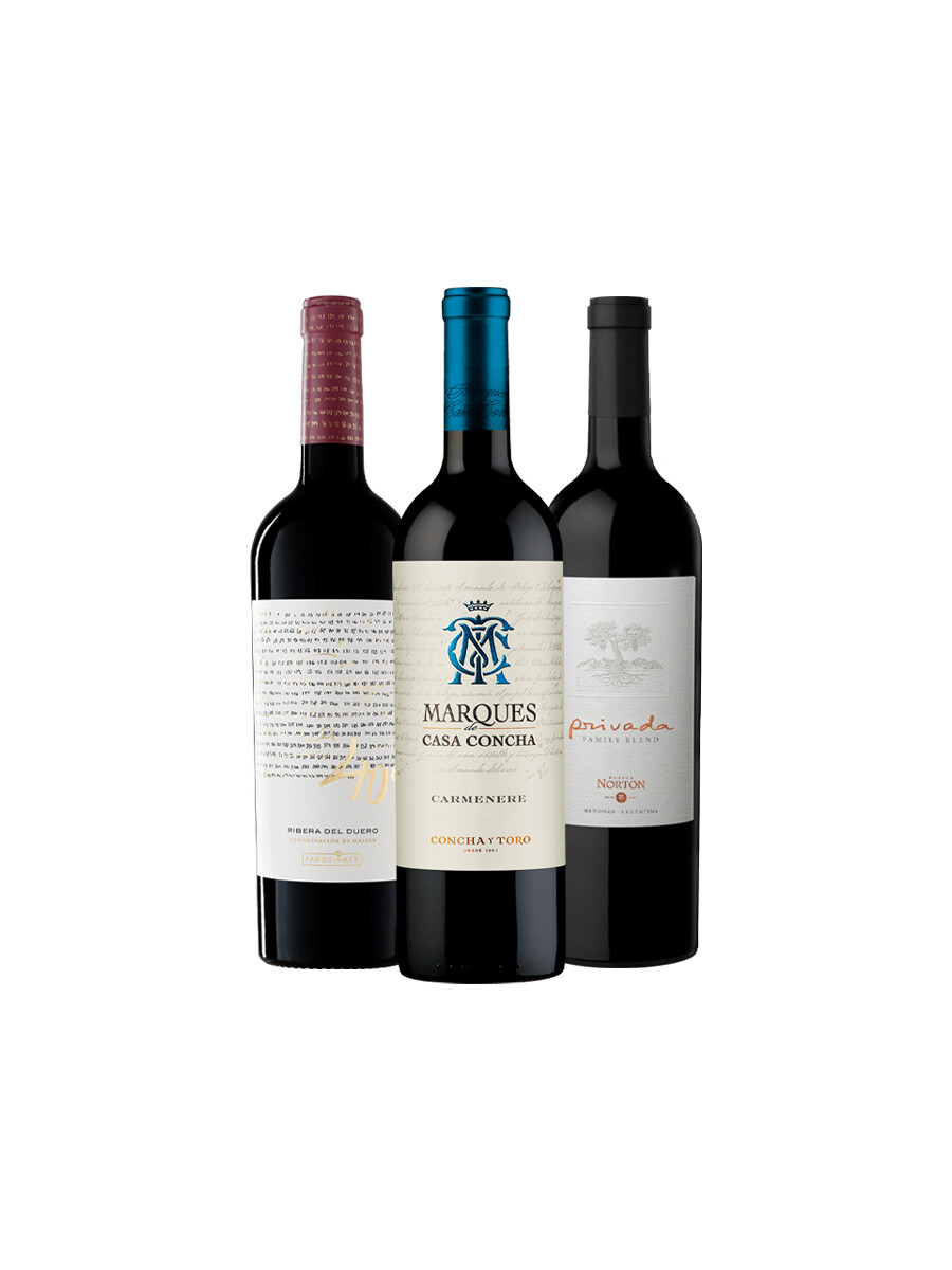 Pack Bacán Selección San Valentin x3 vinos Entre Brindis Pack Bacán Selección San Valentin x3 vinos Entre Brindis